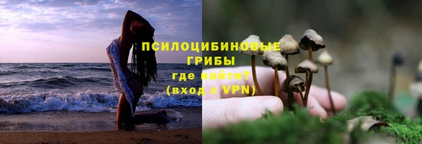 герыч Бронницы