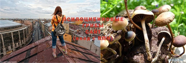 jwh Бородино
