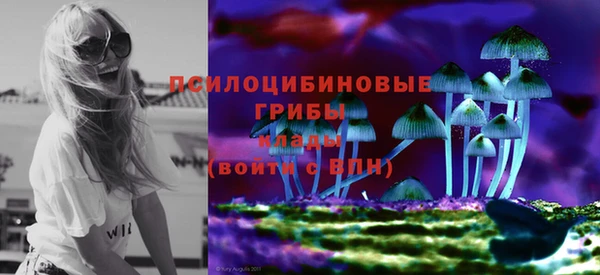 jwh Бородино