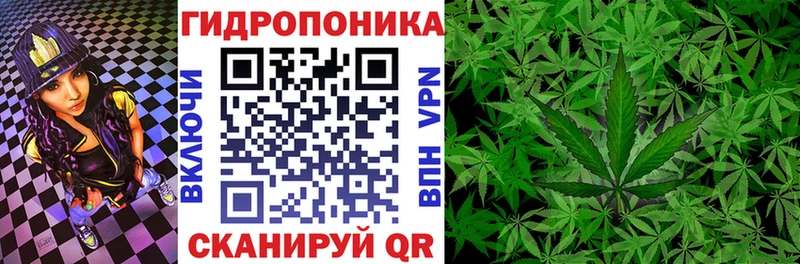 МАРИХУАНА Bruce Banner  Купить где  Андреаполь 